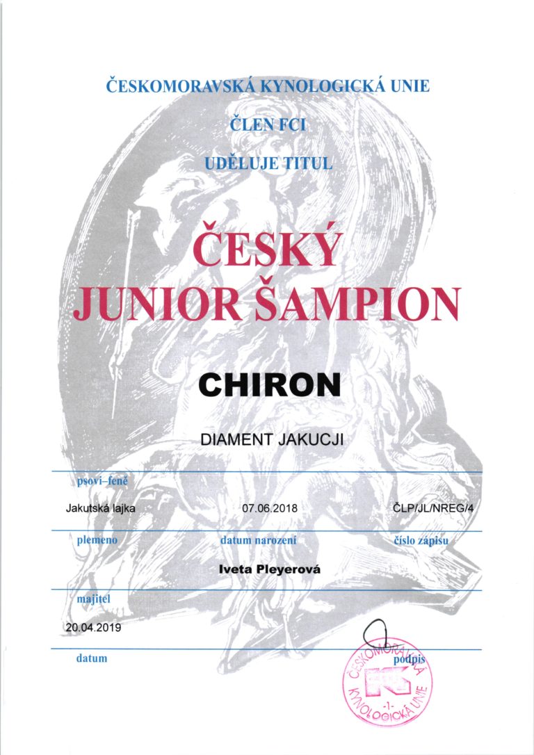 Český Junior Šampion