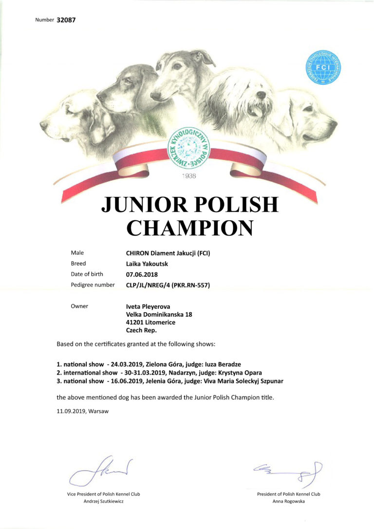 Polský Junior Šampion