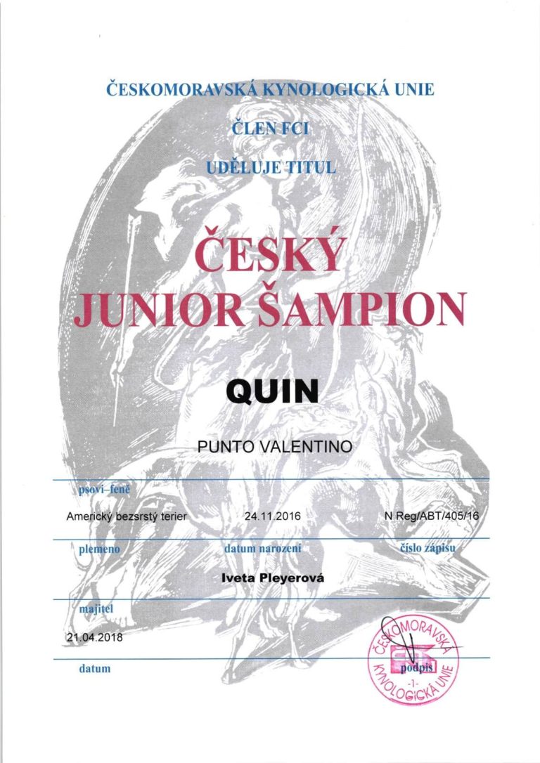 Český Junior Šampion