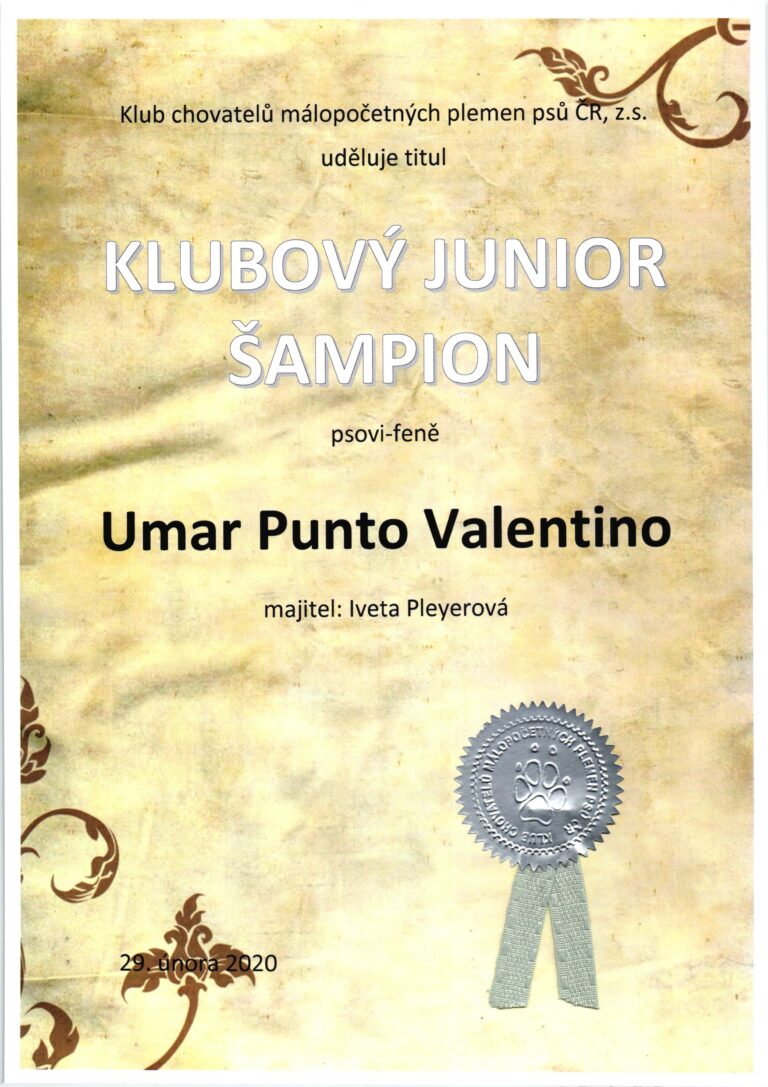 UMAR Klubový Junior Šampion