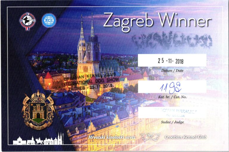 QUIN 25.11.2019 CACIB Zagreb Zagreb Winner