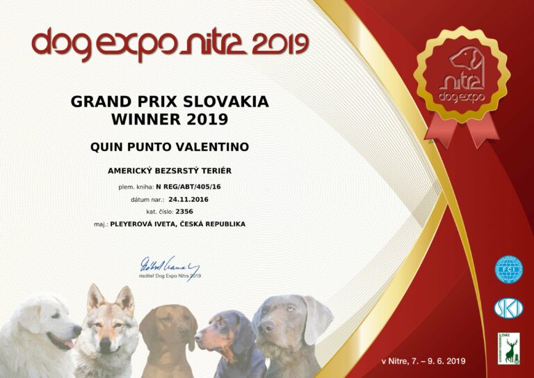 QUIN GRAND PRIX SLOVAKIA WINNER 2019