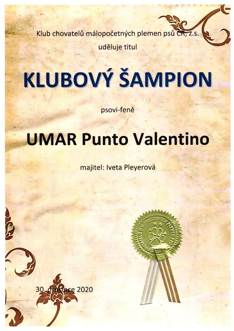 Umar Klubový Šampion