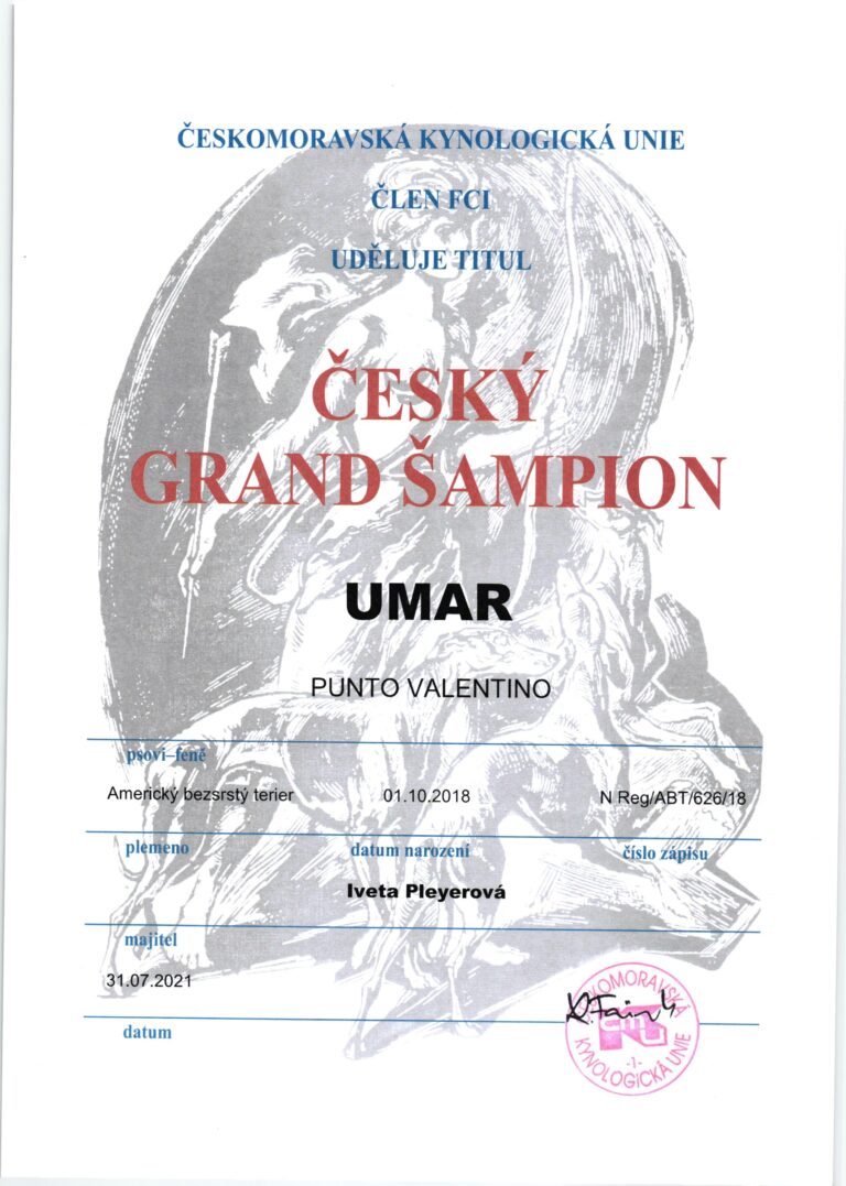 Umar Český Grand Šampion