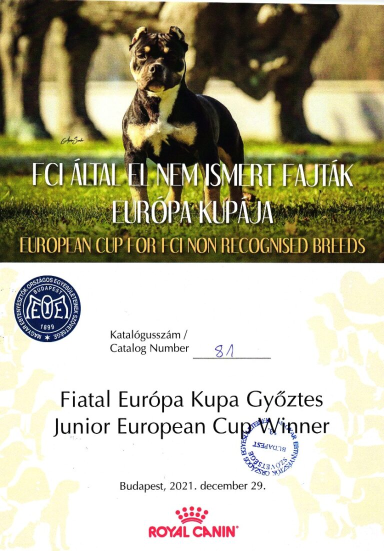 7. Guliver Pleyer Junior European Cup Winner