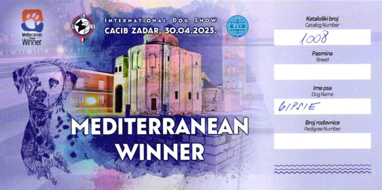 15. Gipsie Mediterranean Winner