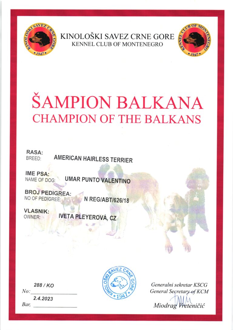 UMAR Balkánský Šampion
