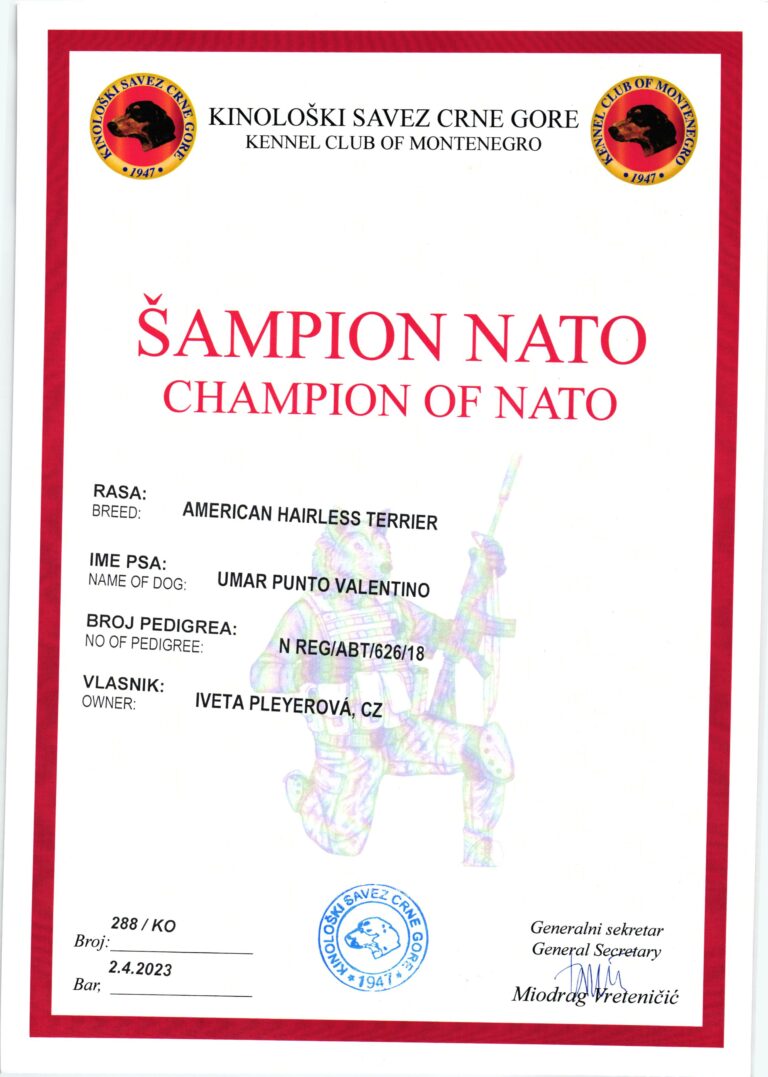 UMAR Šampion NATO
